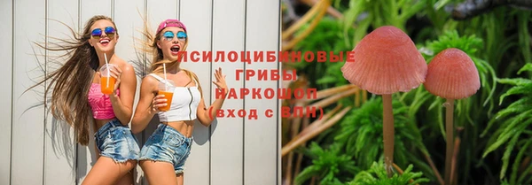 эйфоретик Дубна