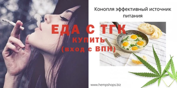 эйфоретик Дубна