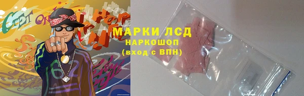эйфоретик Дубна