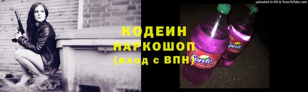 эйфоретик Дубна
