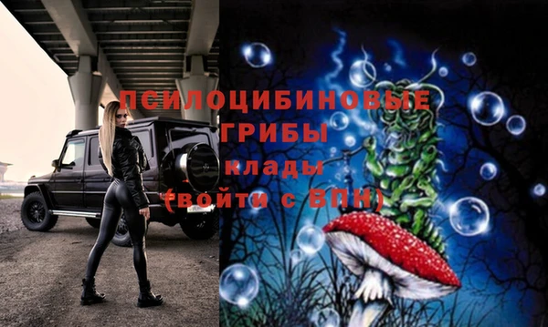 метамфетамин Дубовка