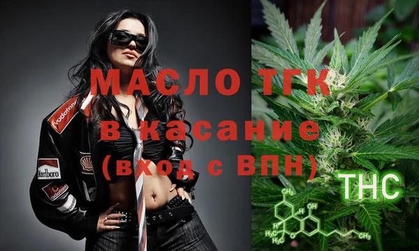 эйфоретик Дубна