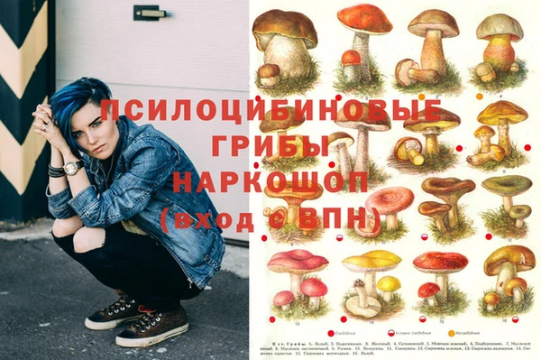 метамфетамин Дубовка