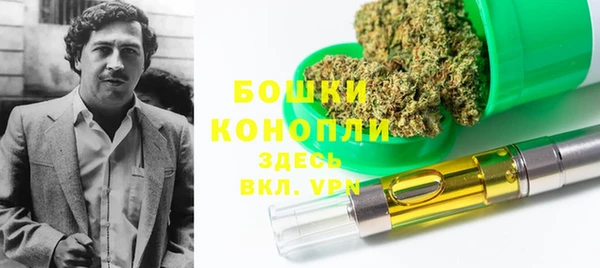 эйфоретик Дубна