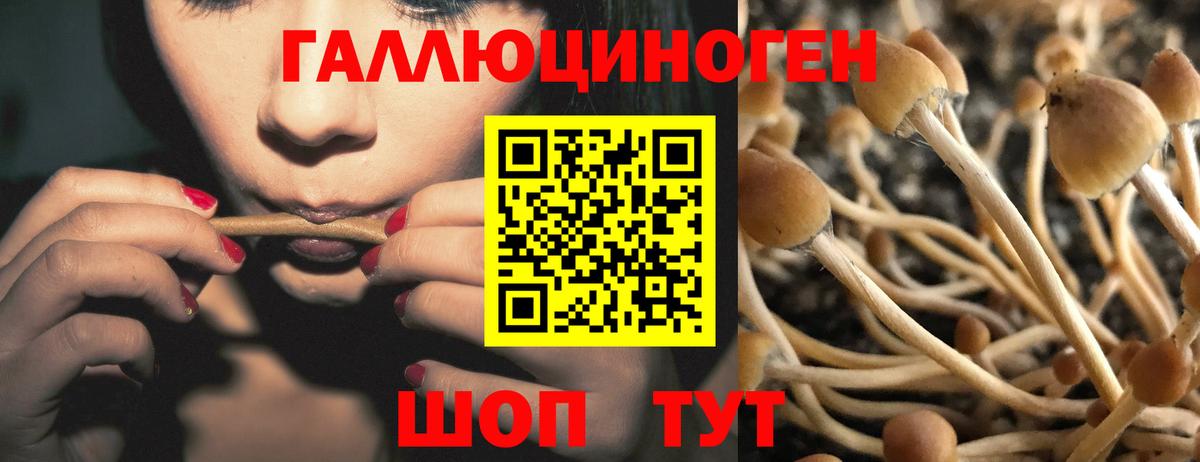 Псилоцибиновые грибы Magic Shrooms Луховицы