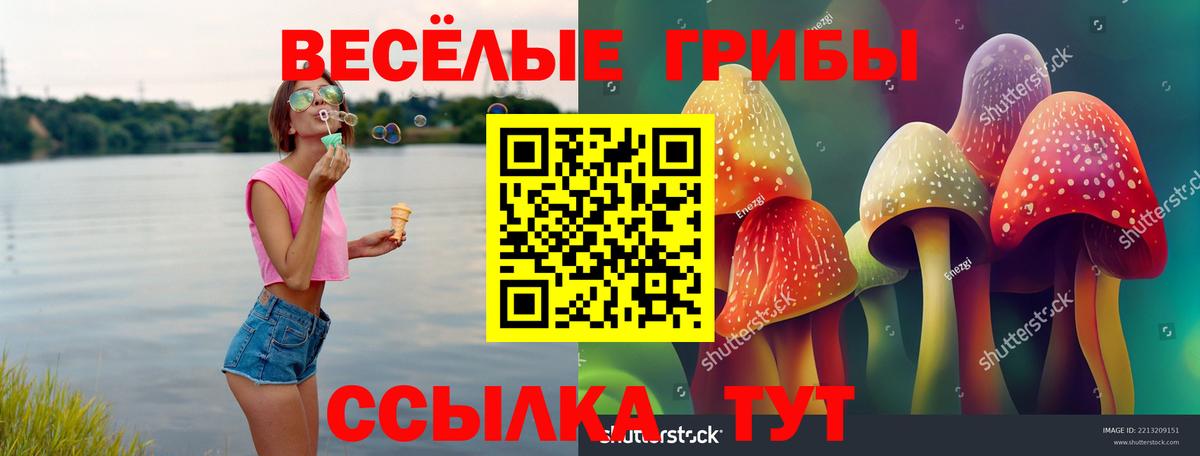 Луховицы  Псилоцибиновые грибы Psilocybine cubensis  Вход с VPN 